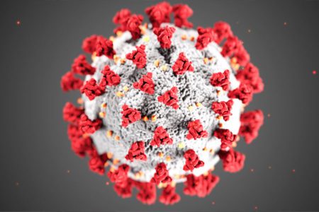 Coronavirus: Facts and Fears - Q & A on COVID-19