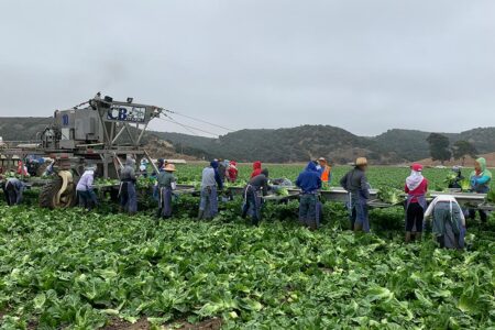 COVID-19 Research Spotlight: Brenda Eskenazi on Risks to California Farmworkers
