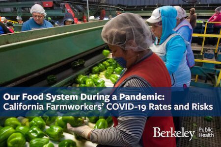 Our Food System During a Pandemic